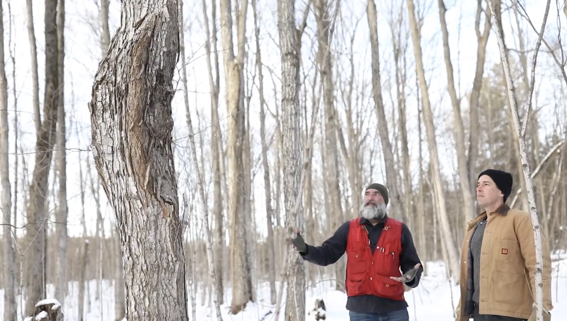 Fraser Smith consulting forestry coaching