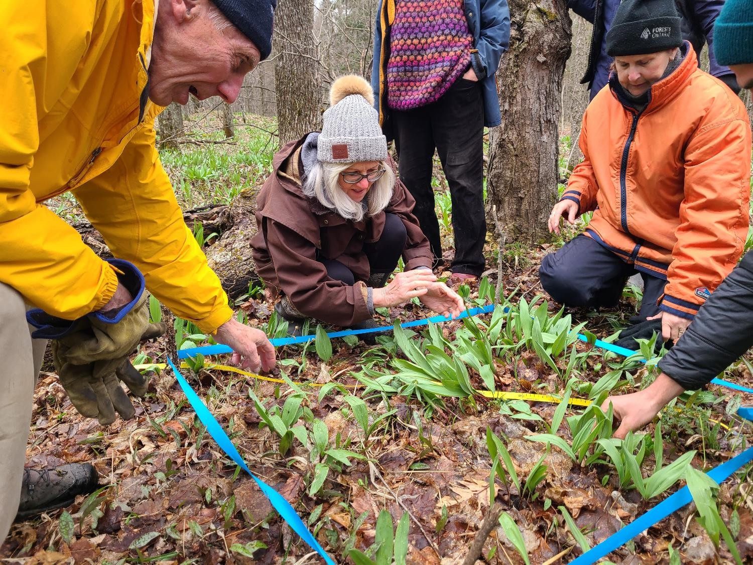 OWA Master Forest Stewards course