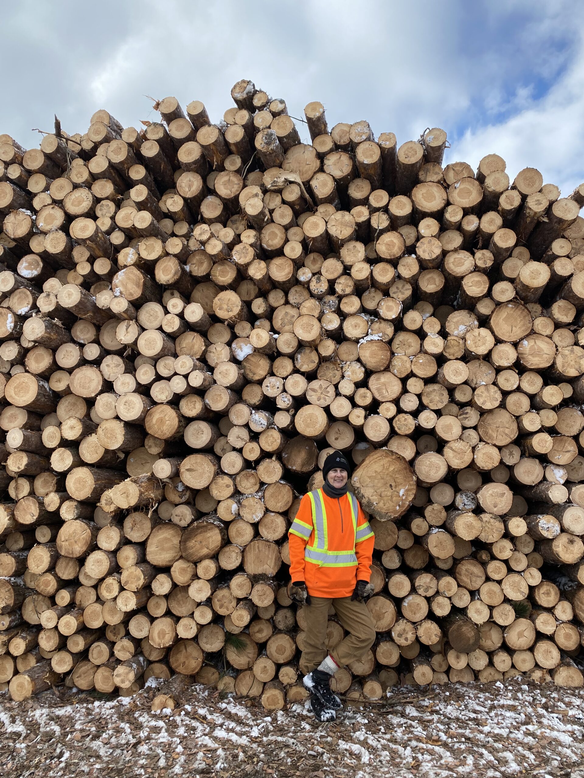 Harvested yield at landing of woodlot thinking operation.