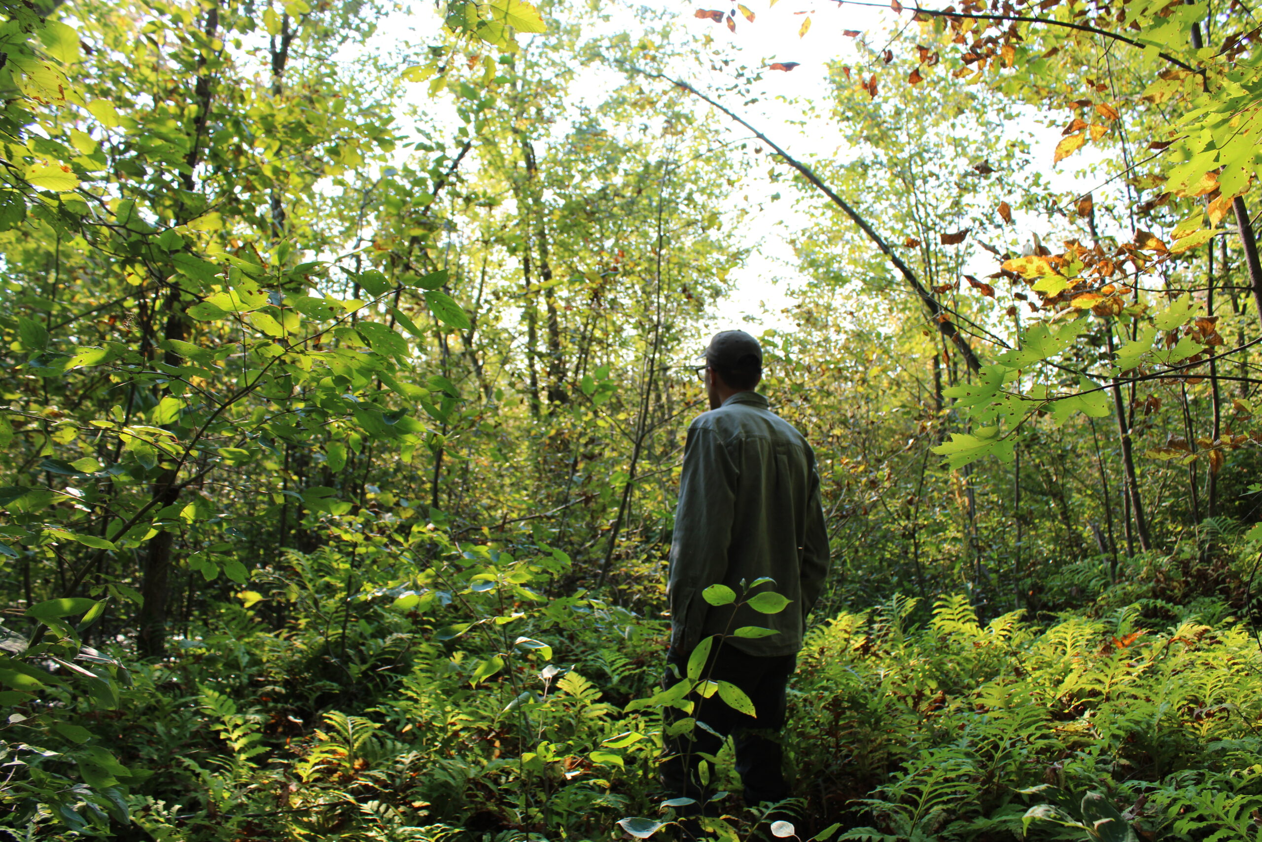 Kawartha Land Trust Community Conservation Director, Thom, standing in forest.